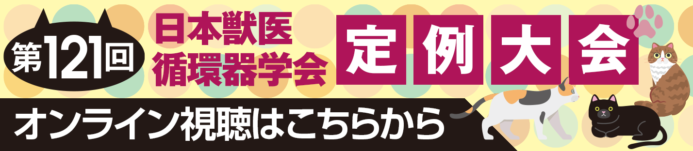 オンライン視聴はこちらから